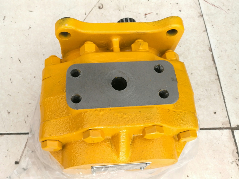 SD22ת07436-72202Pump